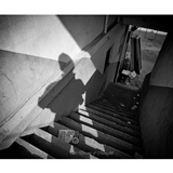 dailyPhoto24